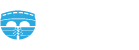 Bridge Joint Systems